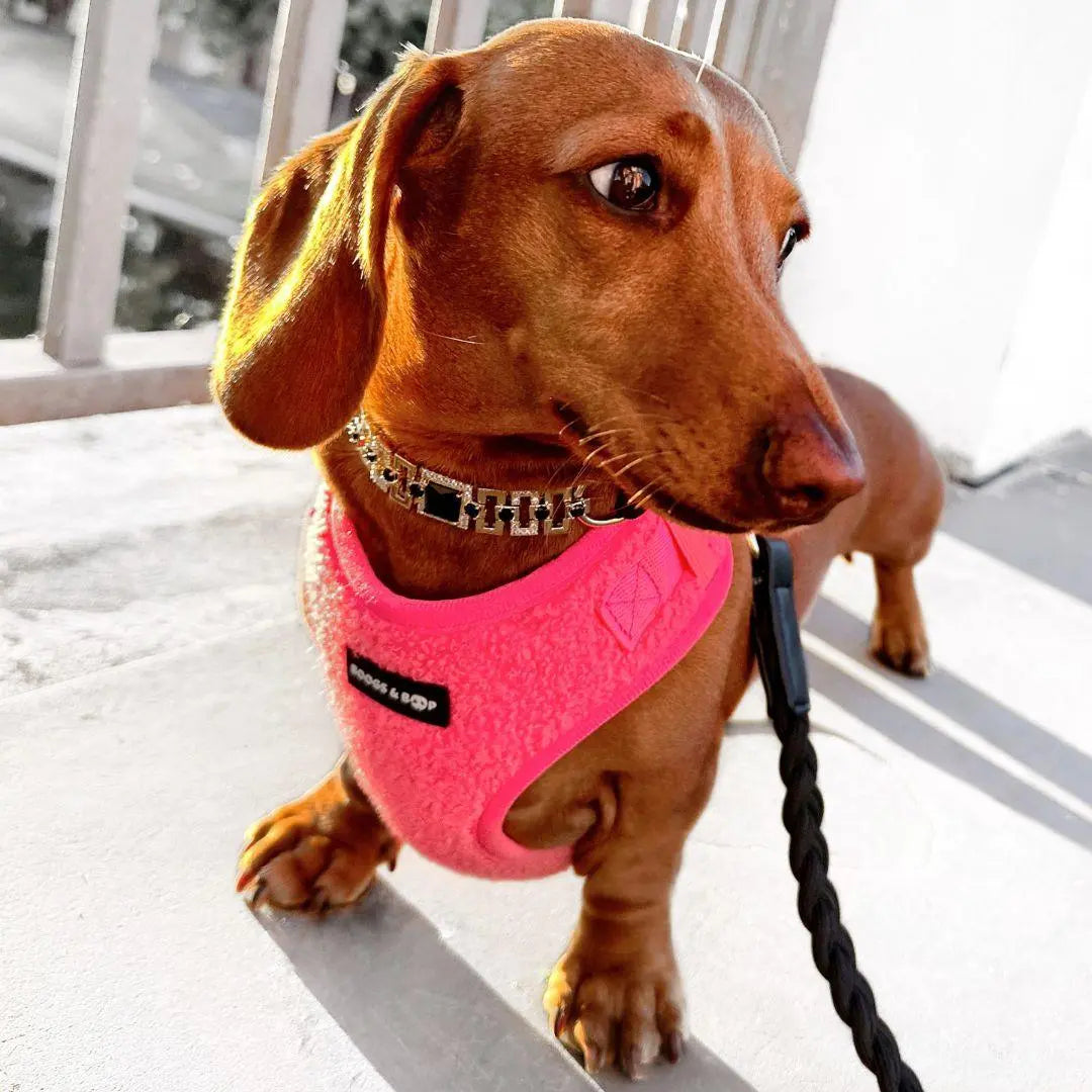 Fluorescent Pink Adjustable Teddy Fabric Dog Harness - Perfect for Stylish Pups!