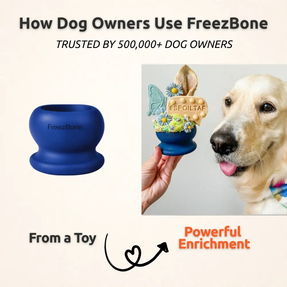 Durable Fillable Dog Chew Bone - Freezball for Endless Fun!