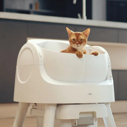Petpivot Autoscooper 11: Self-Cleaning Open-Top Cat Litter Box with Odor-Free Waste Disposal & Trash Bags - Perfect for Summer Pet Lovers!