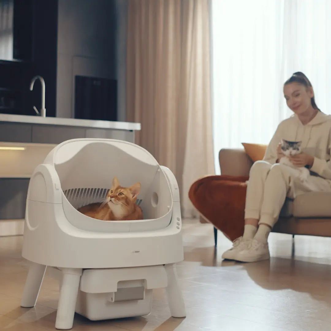 Petpivot Autoscooper 11: Self-Cleaning Open-Top Cat Litter Box with Odor-Free Waste Disposal & Trash Bags - Perfect for Summer Pet Lovers!