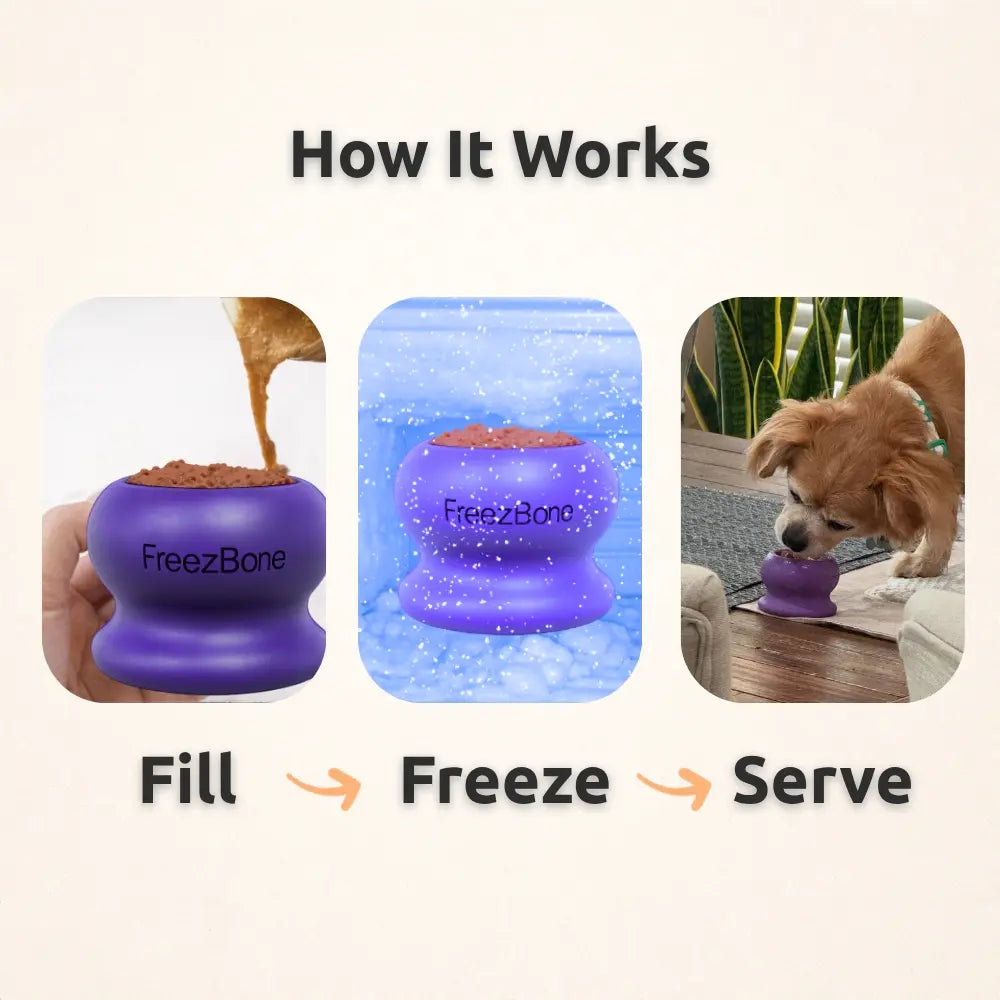 Durable Fillable Dog Chew Bone - Freezball for Endless Fun!