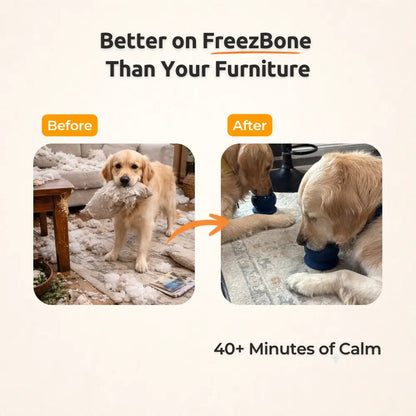 Durable Fillable Dog Chew Bone - Freezball for Endless Fun!