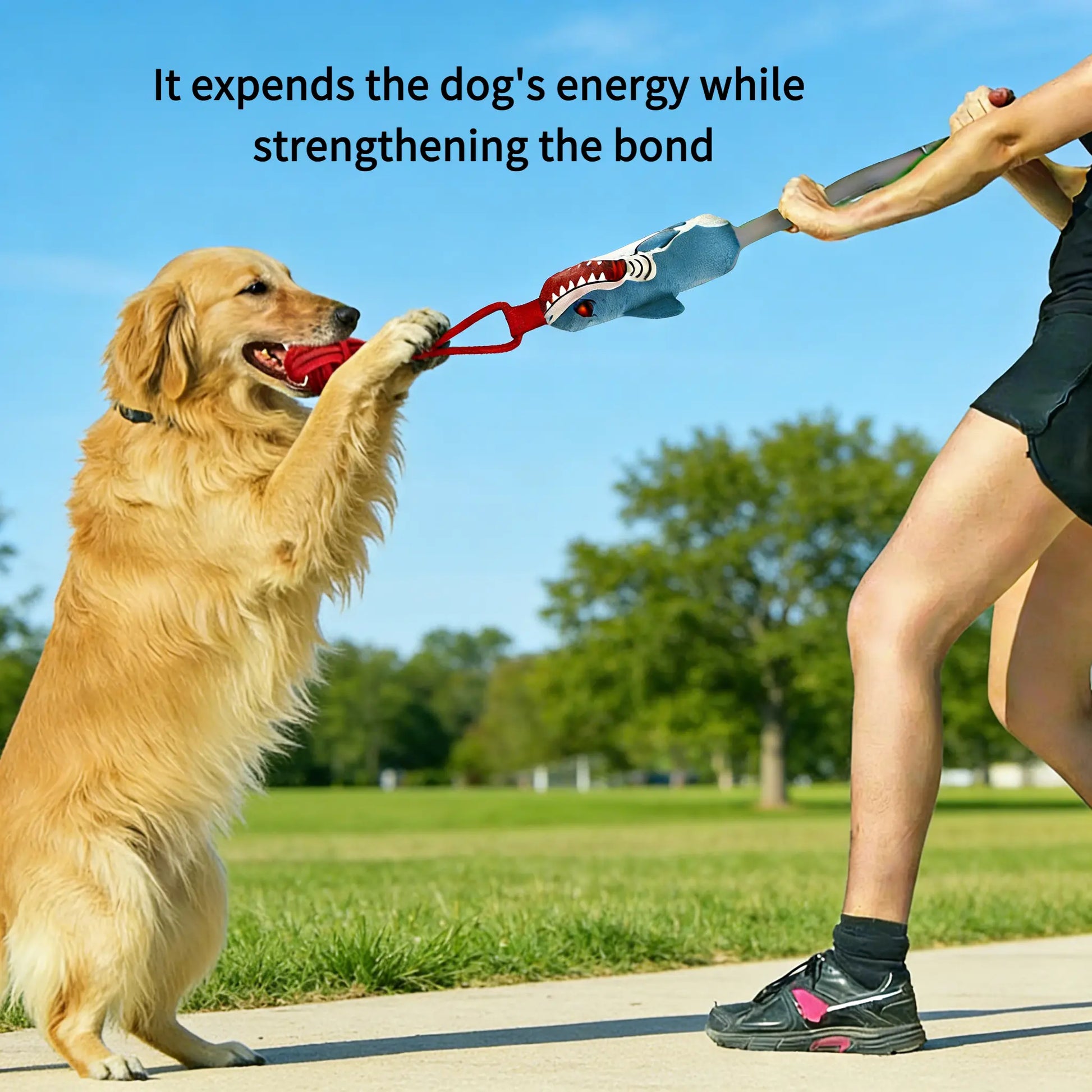 Ultimate Interactive Tug Toy for Dogs - Strengthen Bond & Clean Teeth - Perfect for Indoor & Outdoor Play - Ideal for Small & Medium Breeds