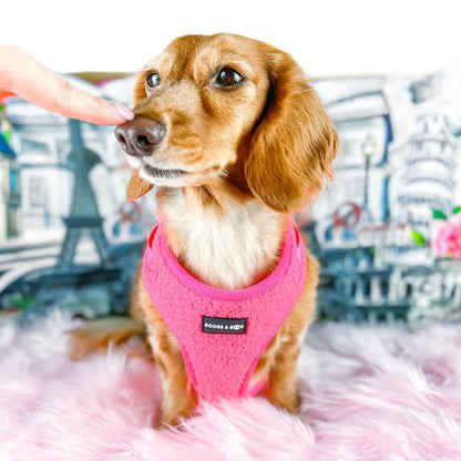 Fluorescent Pink Adjustable Teddy Fabric Dog Harness - Perfect for Stylish Pups!
