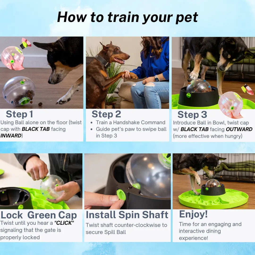 Interactive 8-In-1 Slow Feeder Snuffle Mat Puzzle for Dogs and Cats