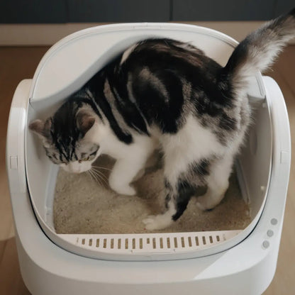 Petpivot Autoscooper 11: Self-Cleaning Open-Top Cat Litter Box with Odor-Free Waste Disposal & Trash Bags - Perfect for Summer Pet Lovers!