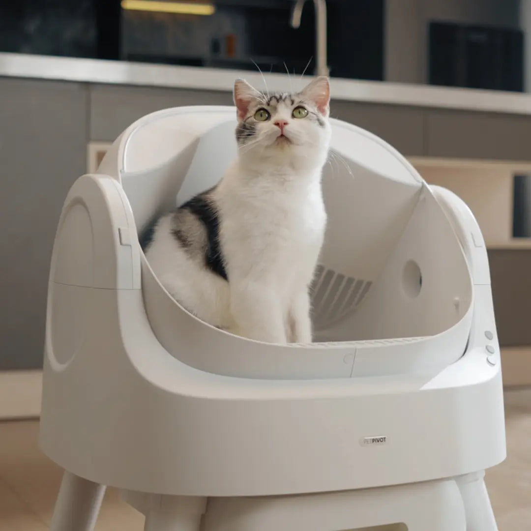 Petpivot Autoscooper 11: Self-Cleaning Open-Top Cat Litter Box with Odor-Free Waste Disposal & Trash Bags - Perfect for Summer Pet Lovers!
