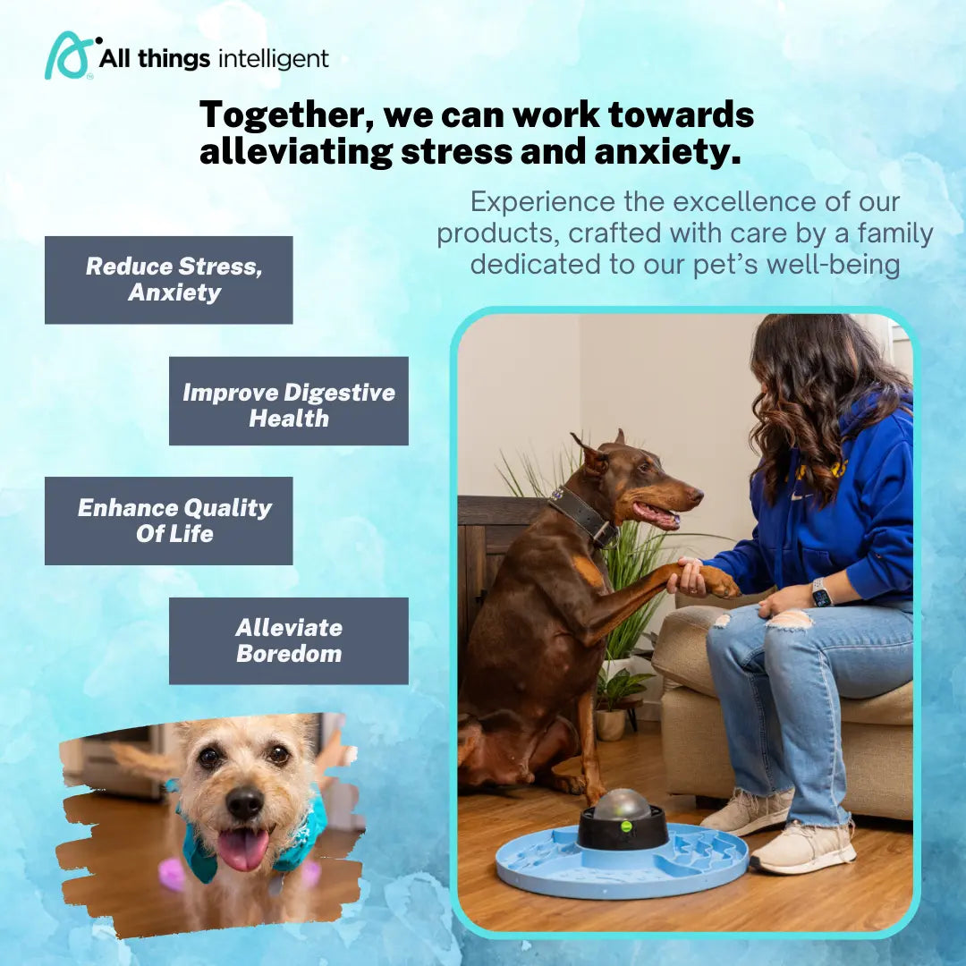 Interactive 8-In-1 Slow Feeder Snuffle Mat Puzzle for Dogs and Cats